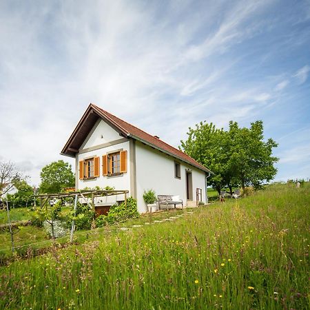 Weinlofts Weinloft I Villa Edlitz im Burgenland Buitenkant foto