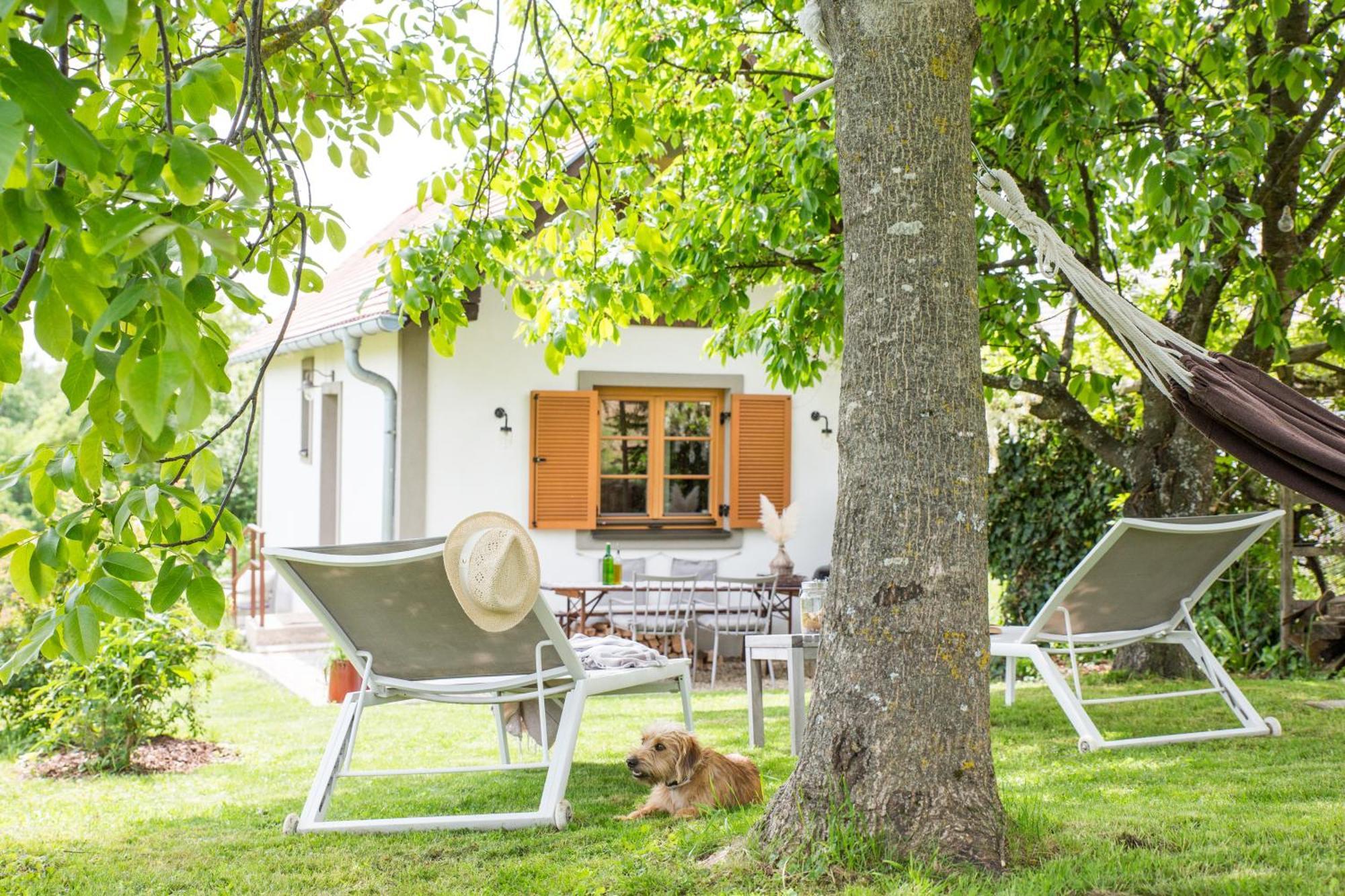 Weinlofts Weinloft I Villa Edlitz im Burgenland Buitenkant foto