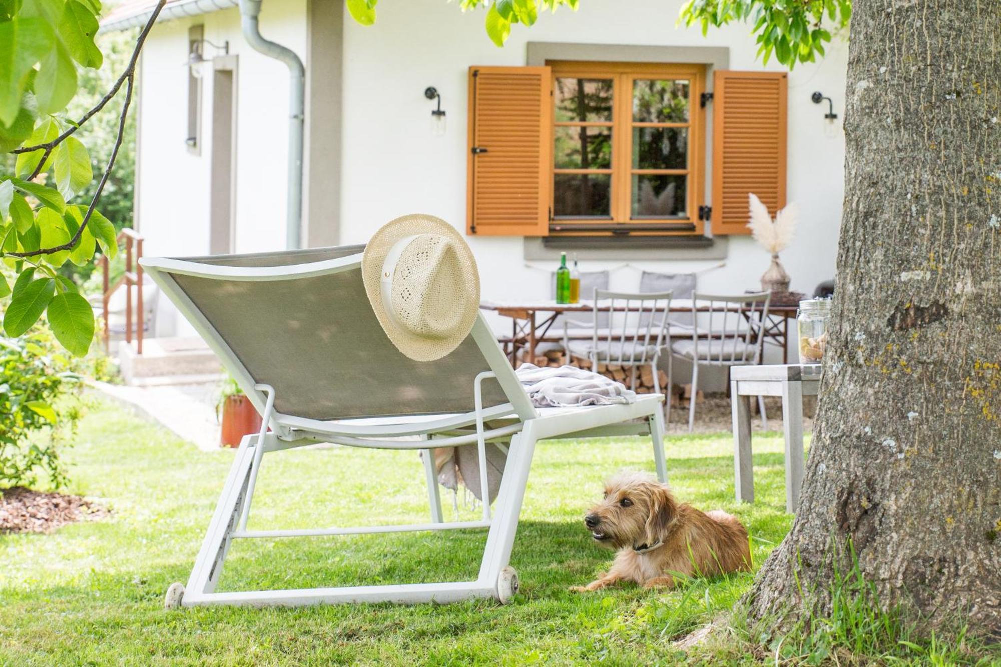 Weinlofts Weinloft I Villa Edlitz im Burgenland Buitenkant foto